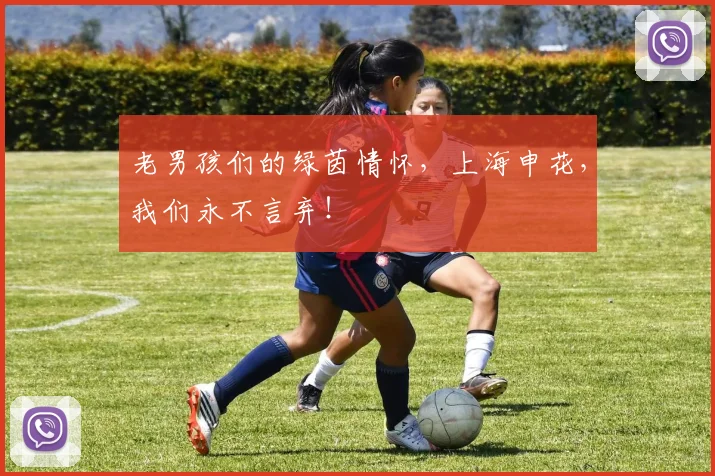 老男孩们的绿茵情怀,上海申花,我们永不言弃!