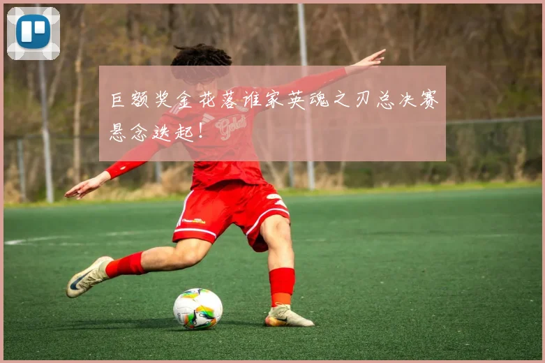 巨额奖金花落谁家英魂之刃总决赛悬念迭起！