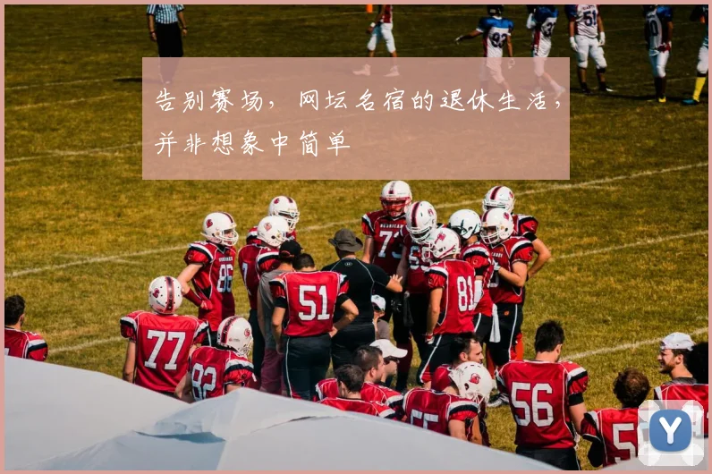 告别赛场，网坛名宿的退休生活，并非想象中简单